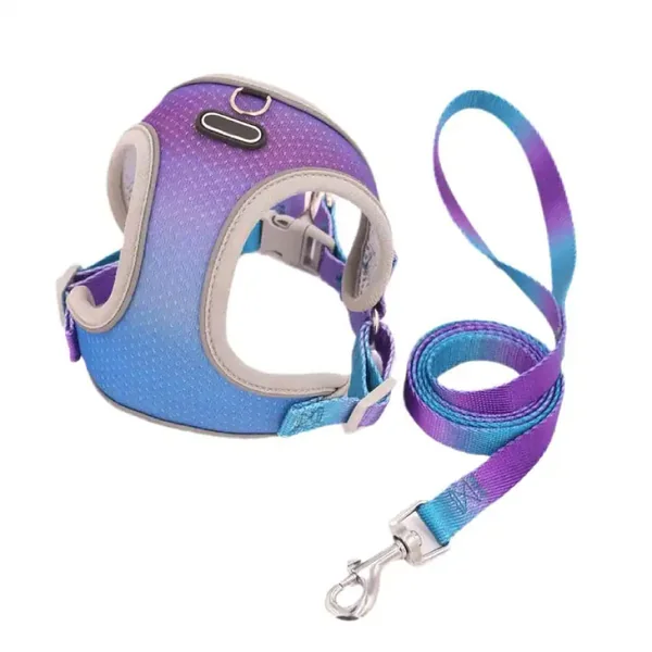 Set de Arnes y Correa neon rainbow para perros pequeños