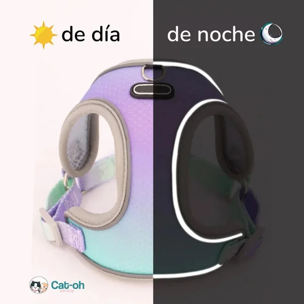 Set de Arnes y Correa neon rainbow para perros pequeños