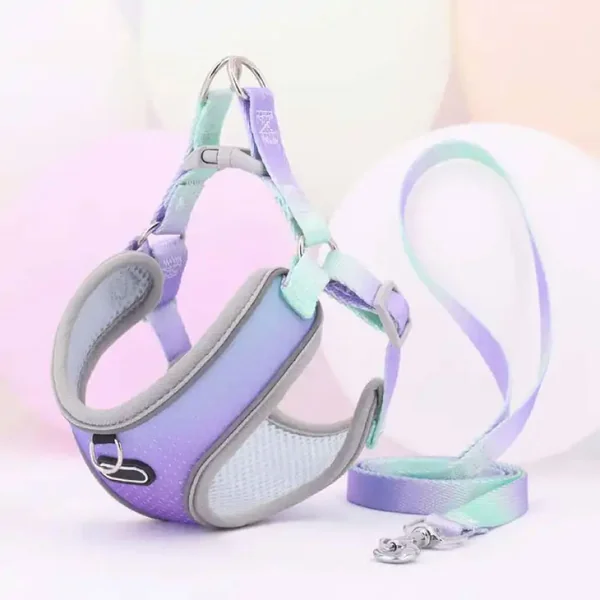 Set de Arnes y Correa neon rainbow para perros pequeños