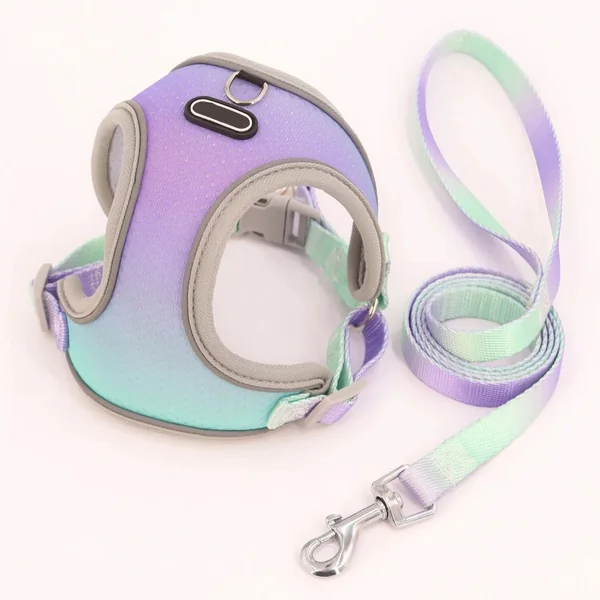 Set de Arnes y Correa neon rainbow para perros pequeños