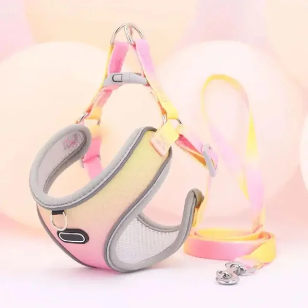Set de Arnes y Correa neon rainbow para perros pequeños
