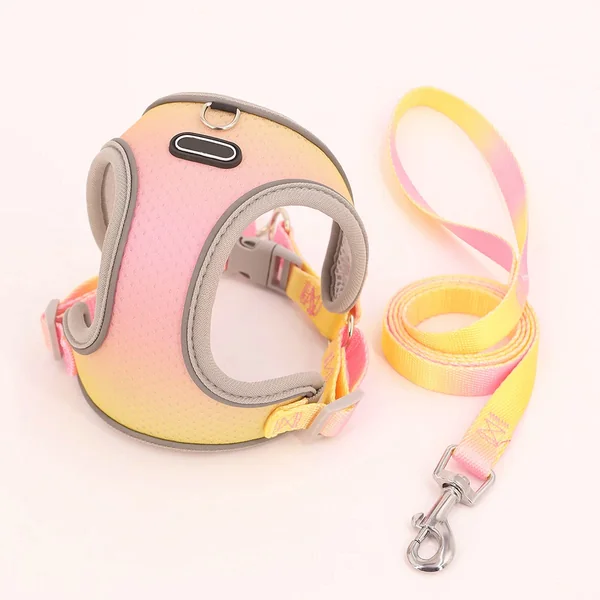 Set de Arnes y Correa neon rainbow para perros pequeños