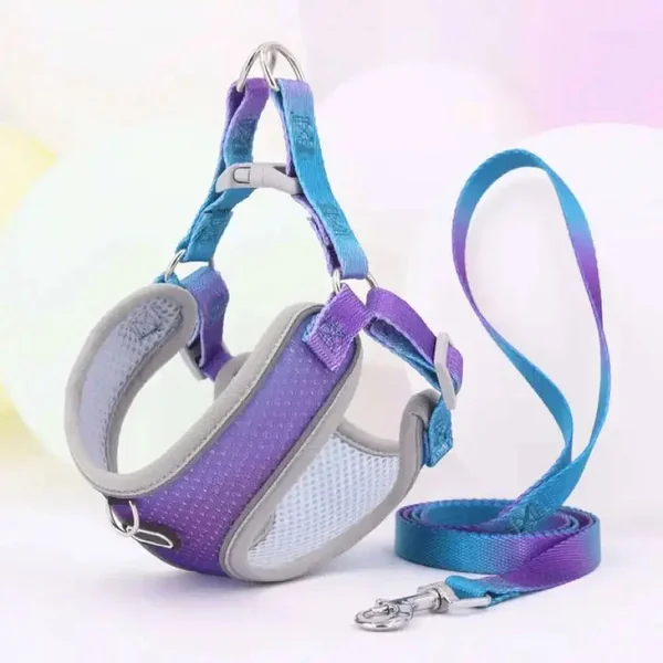 Set de Arnes y Correa neon rainbow para perros pequeños
