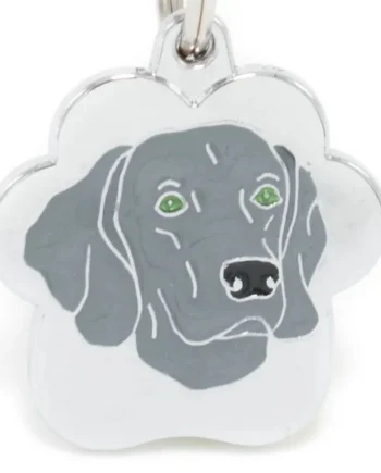 Weimaraner rainbow - Cat-oh pet shop