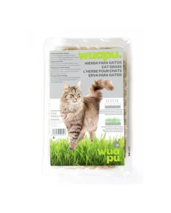 Wuapu hierba para gatos